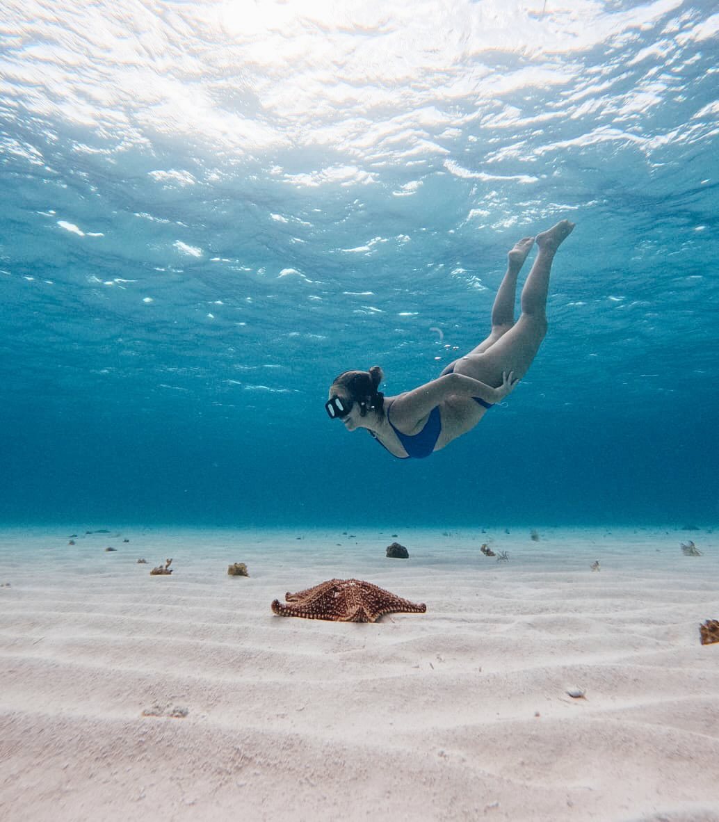 Playa y estrella de mar en el Caribe