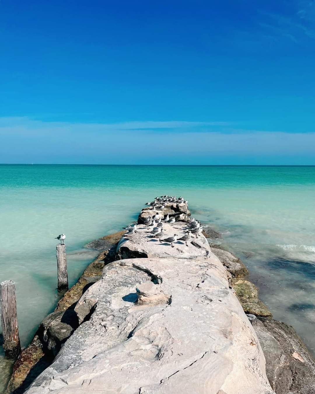Muelle en playa turquesa